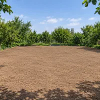 فروش زمین باغ