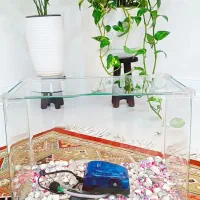 آکواریوم اکرولیک