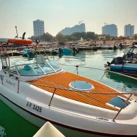 اجاره انواع یات