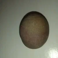 جواهری مشکوک|جواهرات|هشتگرد, فاز ۲ مهستان|دیوار