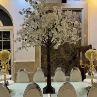 درختچه شکوفه