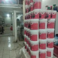 معجزه قرن رازنهفته سالنداران وپرورش دهندگان سرشناس