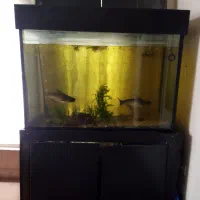 آکواریوم بدنه آهنی سایز بزرگ