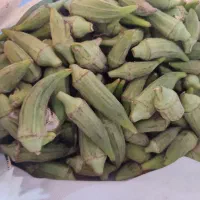 بامیه|خوردنی و آشامیدنی|مشهد, ادیب نیشابوری (شهرک غرب)|دیوار