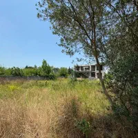 فروش زمین مسکونی شهرکی 600 متر در ماه فروز محله|فروش زمین و ملک کلنگی|آکند, |دیوار