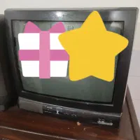 تلوزیون