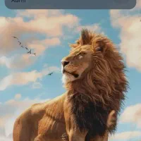 کیف مدارک گمشده نام کریم محمدلو سی متری نیرو هوایی