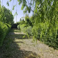 فروش باغ ۱۰۰۰متری با سندششدانگ ملکی روستای گرمه.|فروش خانه و ویلا|مشهد, دهشک|دیوار