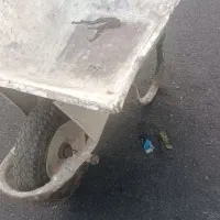 فرغون