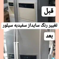 تعمیر پوسیدگی رنگ و تعویض رنگ یخچال ...|خدمات پیشه و مهارت|چمستان, |دیوار