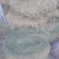 بعده  و خسیل