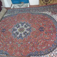 فرش و قالی|فرش|چالوس, |دیوار