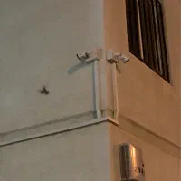 نصاب نصب تعمیروفروش دوربین مداربسته برقکاری دزگیر|خدمات پیشه و مهارت|تهران, دستغیب|دیوار