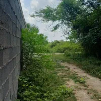 زمین۲۵۰متر مسکونی با استعلامات کامل دورمحصور|فروش زمین و ملک کلنگی|خشکبیجار, |دیوار