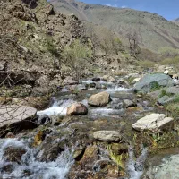 نیازمند همکار جهت برگزاری تور