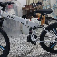 دوچرخه حرفه ایی