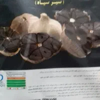 سیر سیاه تخمیر شده دکتر بیز