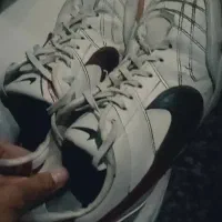 کفش اصل مارک Tiempo