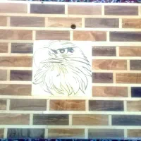 رودری چوبی پیکان