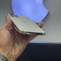 اپل iPhone 12 Pro Max با حافظهٔ ۲۵۶ گیگابایت|موبایل|کرج, درختی|دیوار