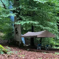 همخونه-همخانه