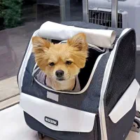 کوله چرخ دار