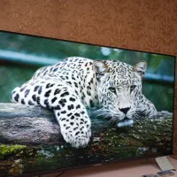 ایکس ویژن ۴۳اینچ هوشمند|تلویزیون و پروژکتور|تبریز, |دیوار