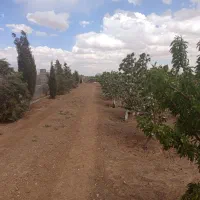 3600متر باغ سند تک برگ یاقوت آباد