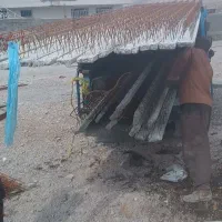 تولید تیرچه و بلوک باقری(  آخر گازرگاه و سنگان )|مصالح و تجهیزات ساختمان|نورآباد ممسنی, |دیوار