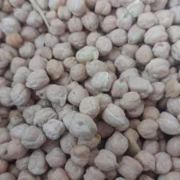 نخود درشت  تمیز