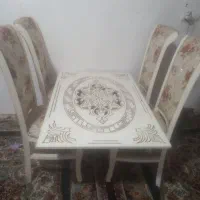 میز ناهار خوری سالم