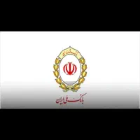 ضامن میخوام