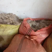 پشم‌گوسفند|لوازم جانبی حیوانات|میاندوآب, |دیوار