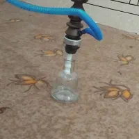 شادگان