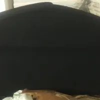 طاقچه عقب زانتیا|قطعات یدکی و لوازم جانبی|قم, شهرک امام حسن|دیوار