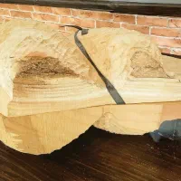 تار سنتی|سازهای سنتی|تهران, ابوذر|دیوار