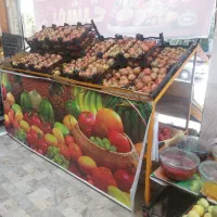 واگذاری مغازه میوه|فروشگاه و مغازه|مشهد, کوشش|دیوار