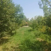 فروش باغ در فیرورق نزدیک جاده|فروش زمین و ملک کلنگی|فیرورق, |دیوار