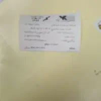 گمشده