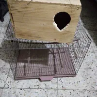 قفس پرنده سایزبزرگمعاوضه با مرغعشق یافنج