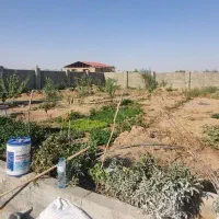 سیمان کاری بنای|خدمات پیشه و مهارت|اراک, |دیوار