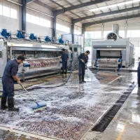 قالیشویی قسطی پرداخت کن تهرانسر چیتگر آزادی