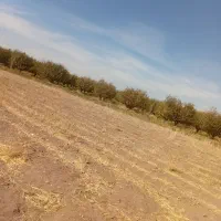 زمین زراعی کشاورزی حاصلخیز نزدیک آب|فروش زمین و ملک کلنگی|باروق, |دیوار