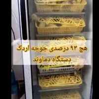 کسب درآمد عالی بادستگاه، جوجهکشی و پرورش طیور|ماشینآلات صنعتی|کرمانشاه, |دیوار