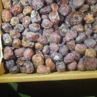 فروش خرمای مُرداسنگ در تناژ بالا