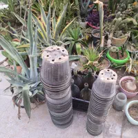 تعدادی گلدان پلاستیکی سطل 3.وگلدان 14|گل و گیاه طبیعی|کرج, دهقان ویلا|دیوار