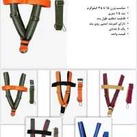 قلاده سگ و گربه|لوازم جانبی حیوانات|تهران, بازار|دیوار