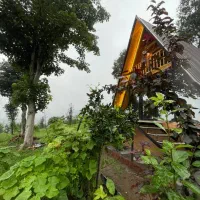 کلبه سوئیسی جنگلی|اجارهٔ کوتاه‌مدت ویلا و باغ|شیرگاه, |دیوار