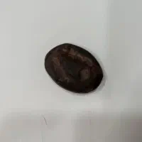 سنگ موکل دار|جواهرات|بوشهر, |دیوار