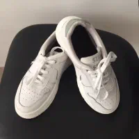 کفش|کیف، کفش، کمربند|مشهد, سجاد شهر|دیوار